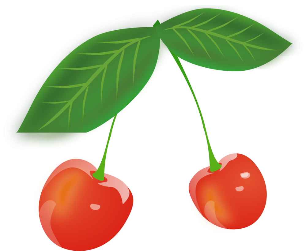 cherry-147311.png